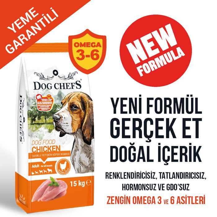 DOG CHEFS 15 KG TAVUKLU KURU KÖPEK MAMASI