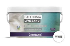 CALEDONİA LİVE SAND WHİTE 18 KG