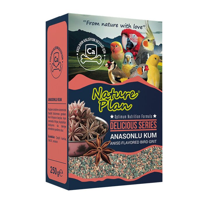Nature Plan Delicious Serisi Anasonlu Kum 250gr 12'Lİ