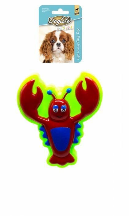 202935-DOGLİFE TUTMALI FİTİL GEZDİRME 120CM/18MM