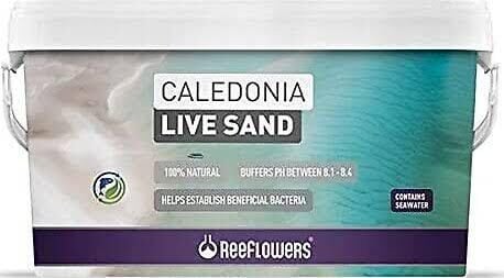 REEFLOWERS CALEDONİA LİVE SAND PURPLE 18 KG