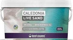 REEFLOWERS CALEDONİA LİVE SAND PURPLE 18 KG
