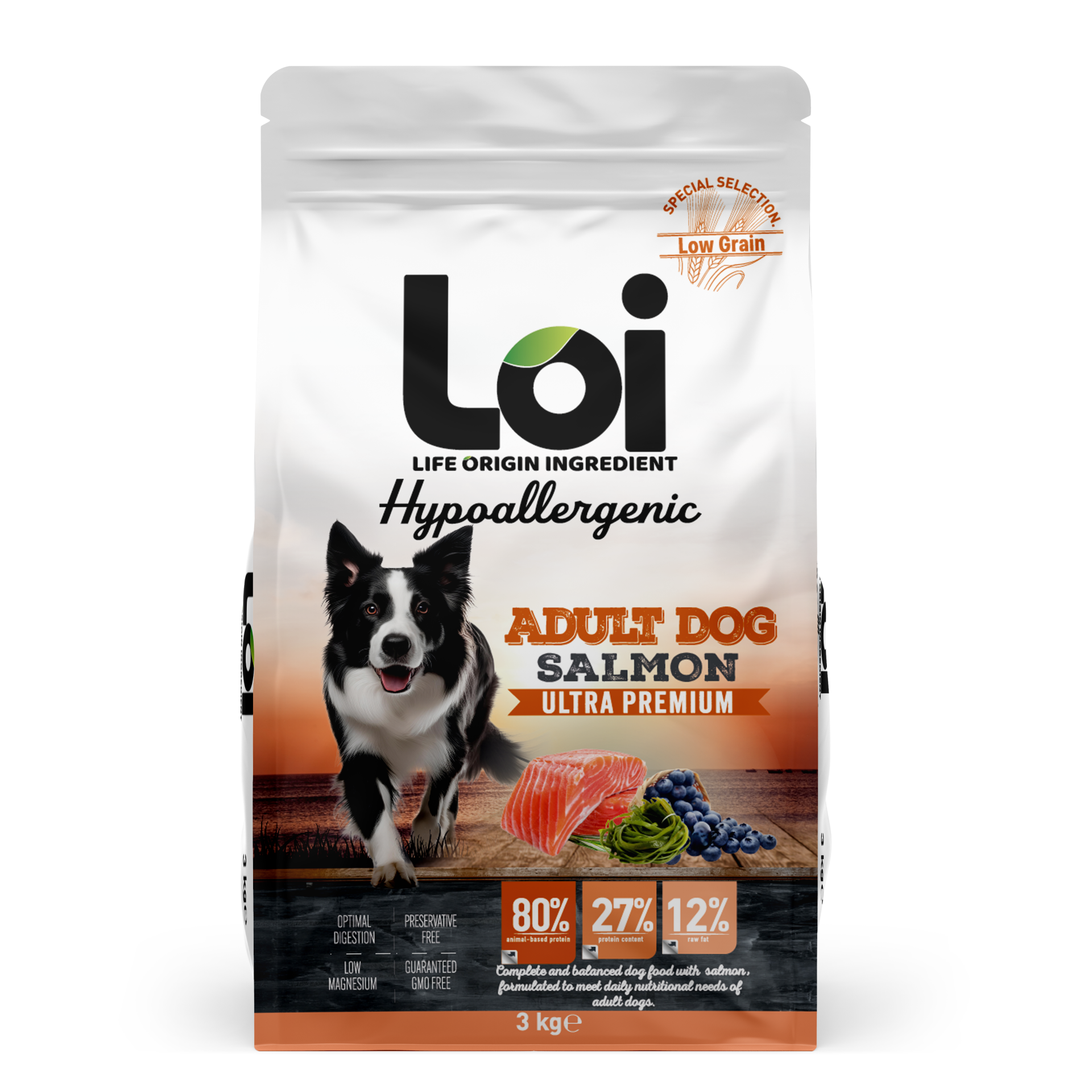 LOI YETİŞKİN KÖPEK SOMONLU 3 KG