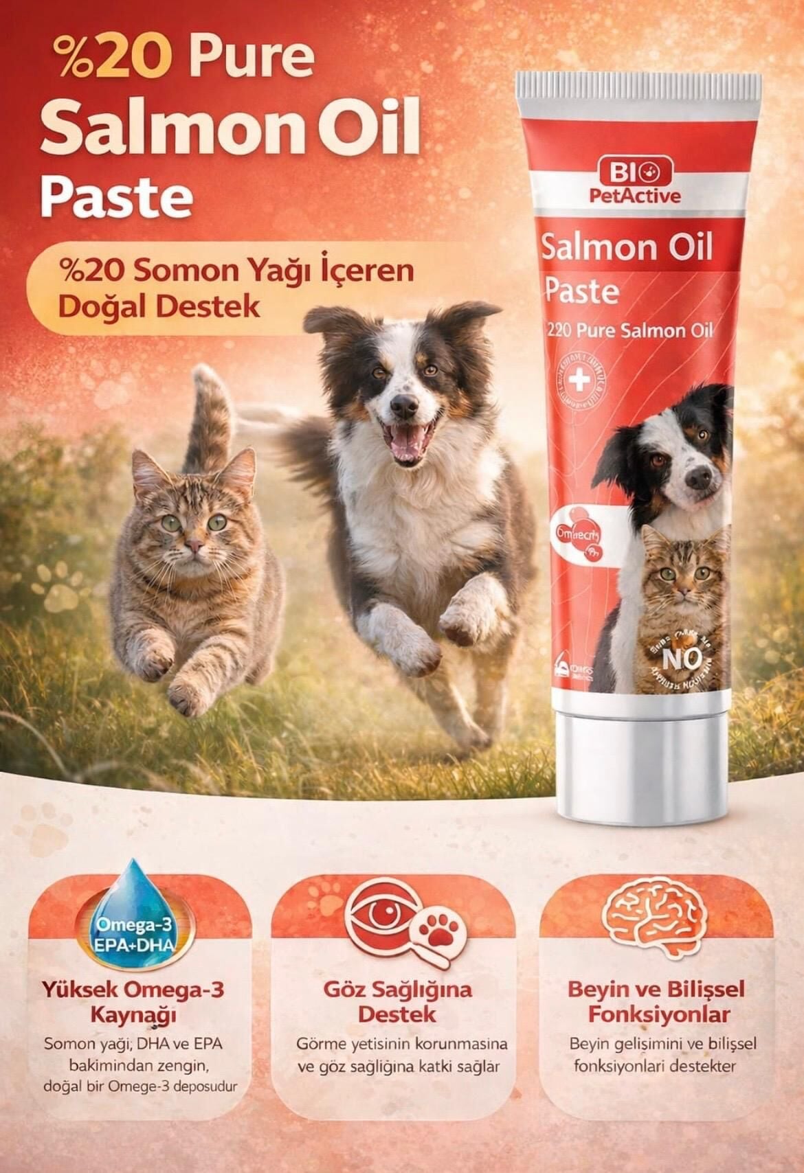 BİO PETACTİVE SALMON OİL PASTE 100 G
