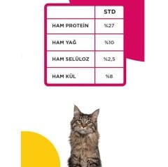 ECONATURE YETİŞKİN KEDİ MAMASI TAVUKLU 15 KG