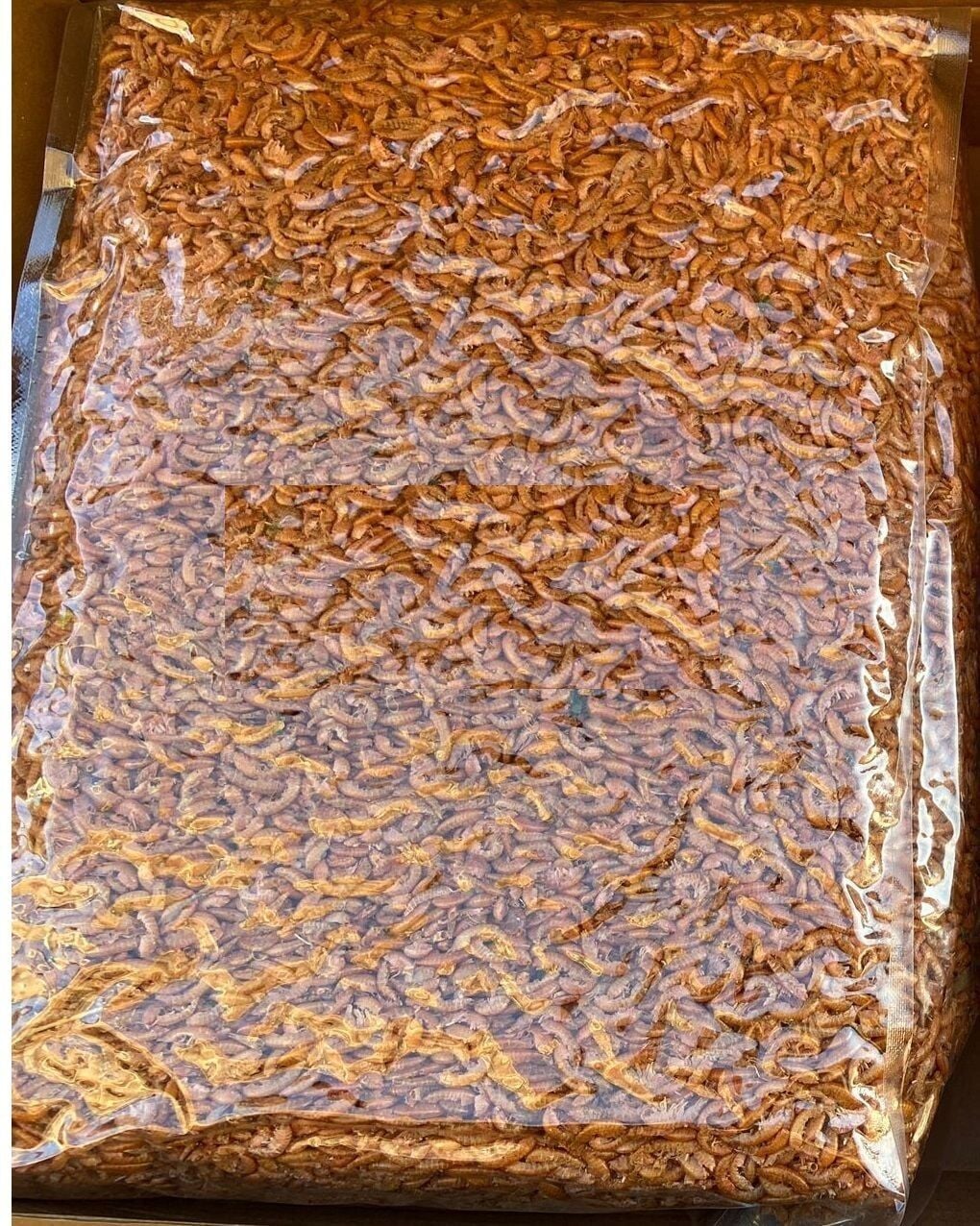 GAMMARUS 750 GR