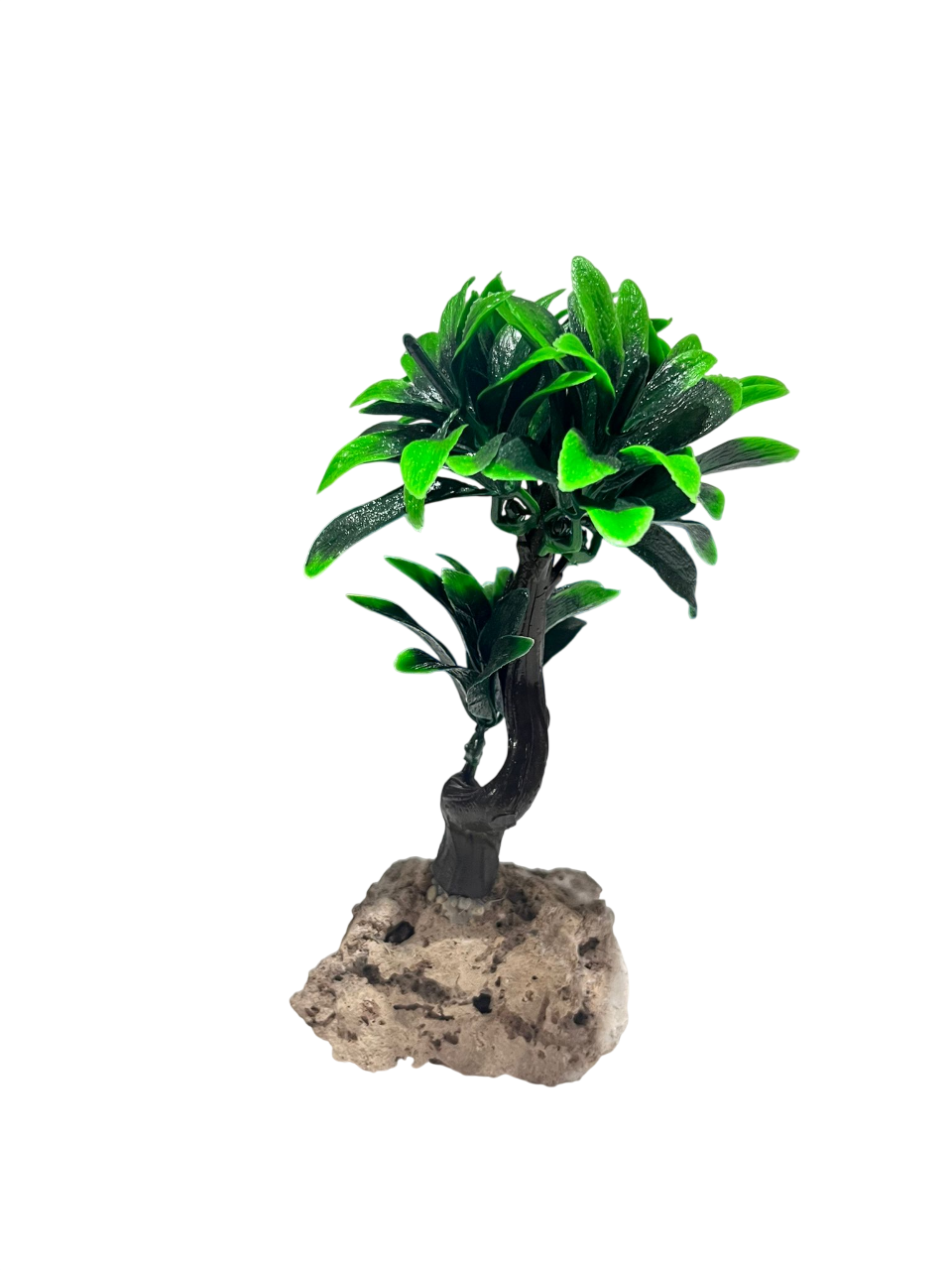 AKVARYUM BİTKİ AĞAÇ