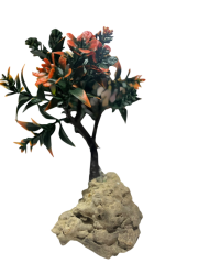 AKVARYUM BİTKİ AĞAÇ