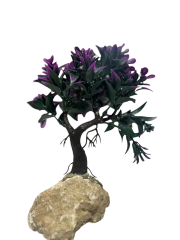 AKVARYUM BİTKİ AĞAÇ