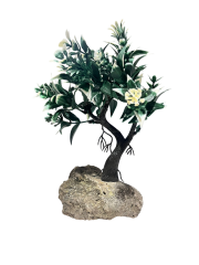 AKVARYUM BİTKİ AĞAÇ