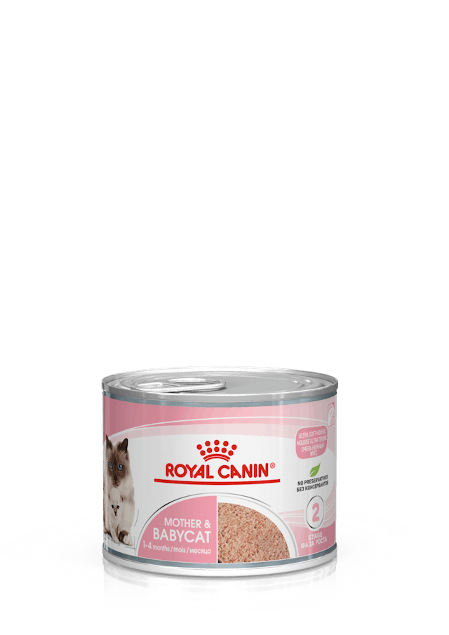 ROYAL CANİN MOTHER & BABYCAT 195 GR 12'Lİ