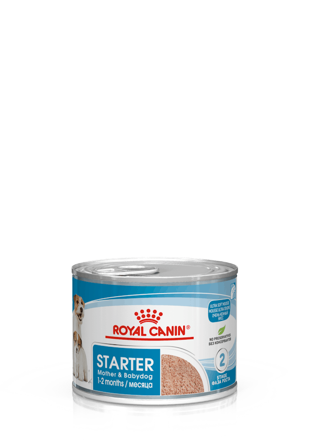 ROYAL CANİN STARTER MOUSSE 195 GR 12'Lİ