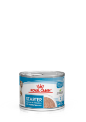 ROYAL CANİN STARTER MOUSSE 195 GR 12'Lİ