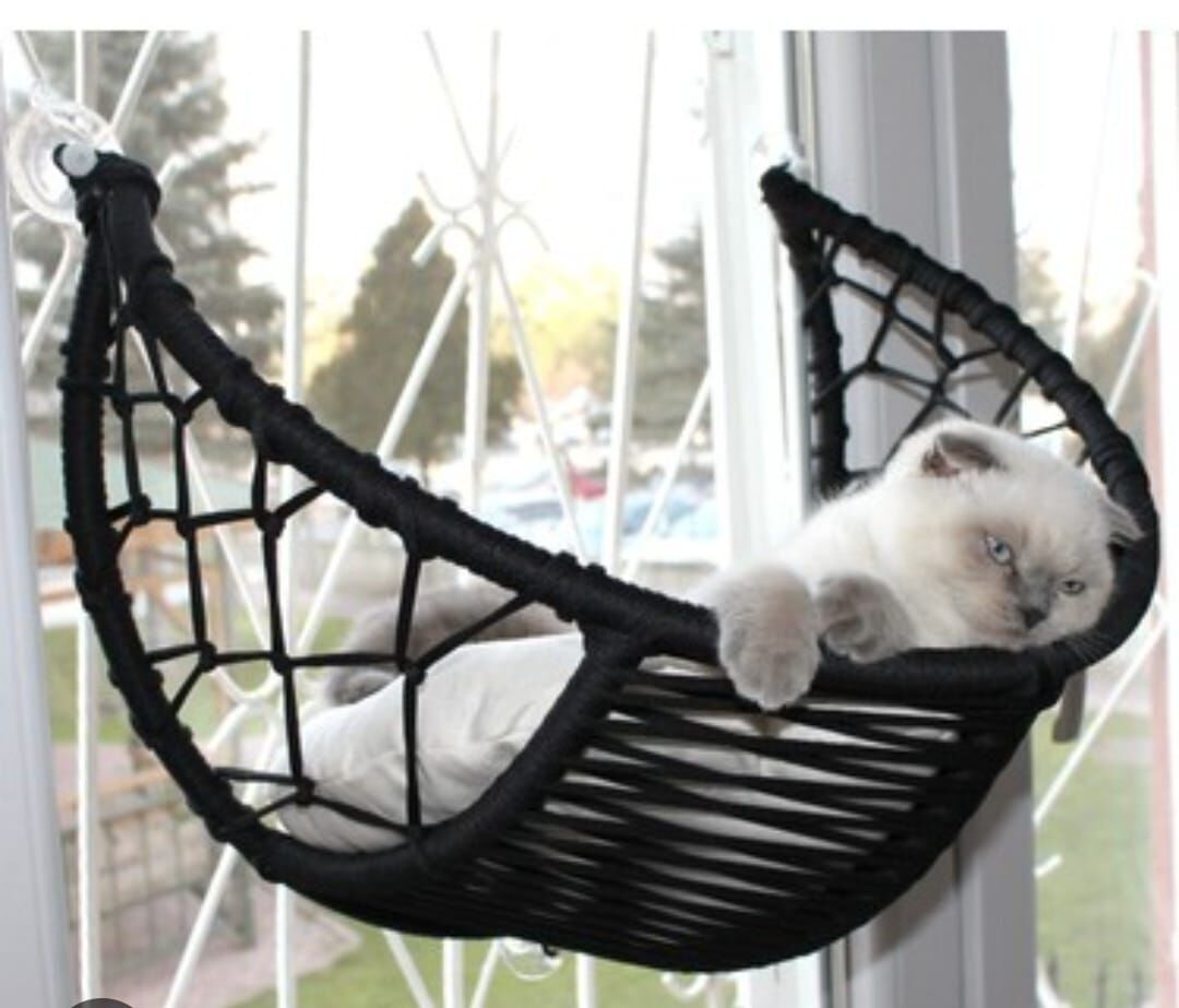 CAMA YAPIŞAN HAMAK YATAK