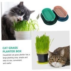 MAJO PLASTİK KEDİ KULAKLI KEDİ ÇİMİ