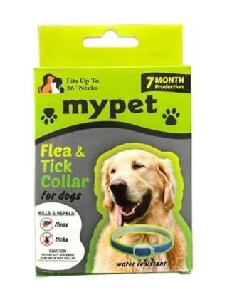 MYPET KÖPEK PİRE TASMASI