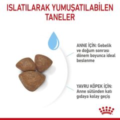 ROYAL CANİN MINI STARTER 4 KG