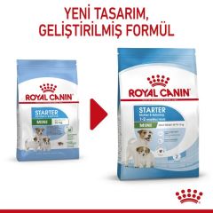 ROYAL CANİN MINI STARTER 4 KG