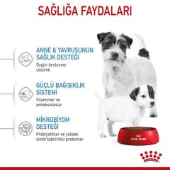 ROYAL CANİN MINI STARTER 4 KG