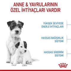 ROYAL CANİN MINI STARTER 4 KG
