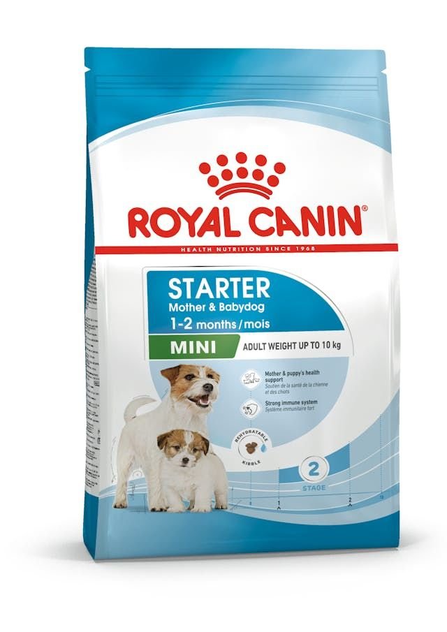 ROYAL CANİN MINI STARTER 4 KG