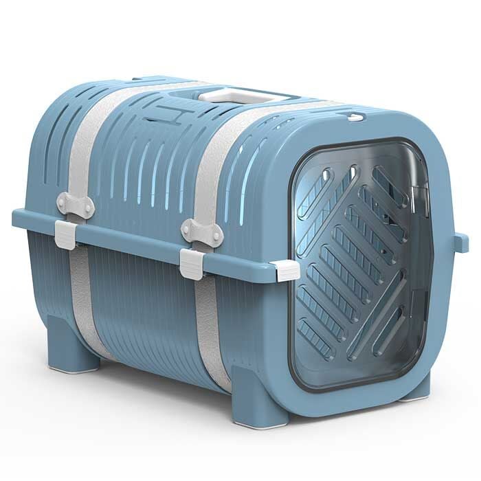 rainbow turkuaz - beyaz KEMER