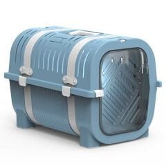 rainbow turkuaz - beyaz KEMER