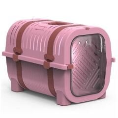 RAİNBOW PEMBE - SİYAH KEMER