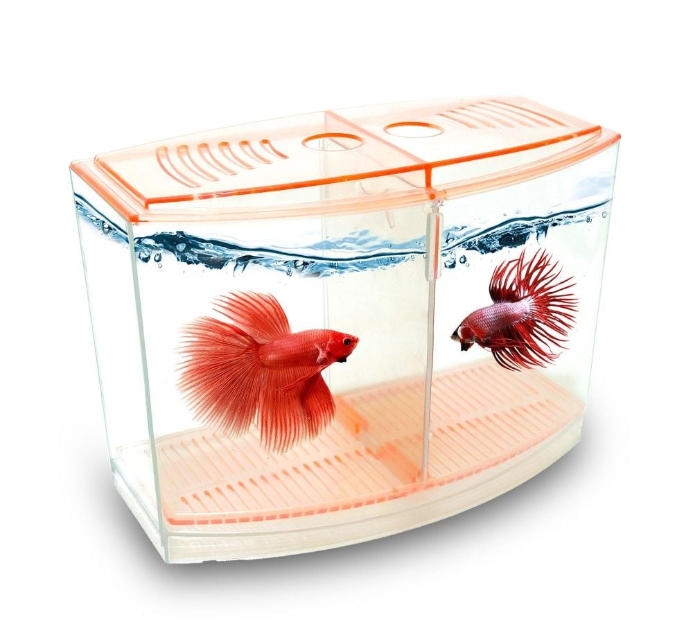 ATLANTİK BETALIK 9* 19* 14* CM 1800 ML TANK