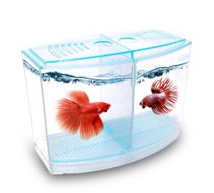 ATLANTİK BETALIK 9* 19* 14* CM 1800 ML TANK