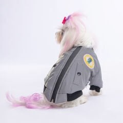 ASTRODOG YAĞMURLUK M-L-XL-XL-2XL (5’li Set)