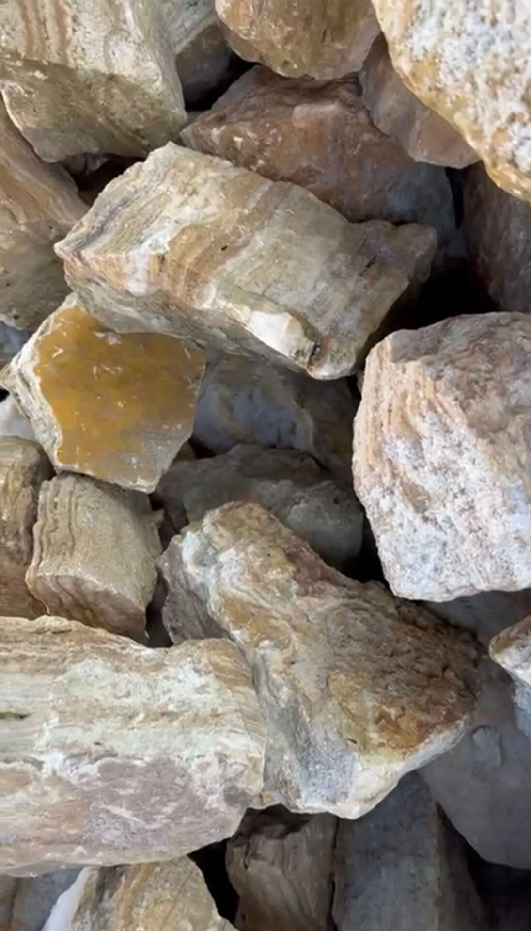 AKVARYUM KAYA RAK KAYASI SARI BEYAZ 10 KG