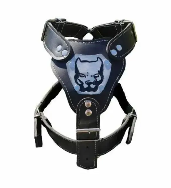 GLADYATÖR DERİ TASMA X-LARGE NO:4