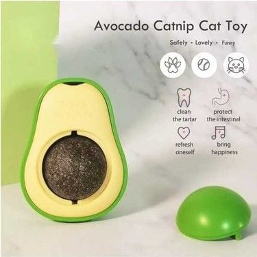 AVOCADO CATNİP