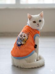KEDİ KÖPEK KIYAFET TURUNCU FİLELİ 5'Lİ