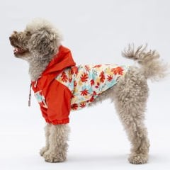 PAWSTAR Ottawa Yağmurluk M-L-L-XL-2XL