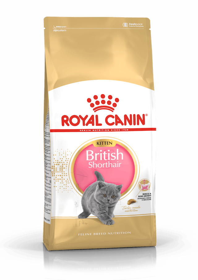 ROYAL CANİN BRISTISH SHORTHAIR KİTTEN 2 KG