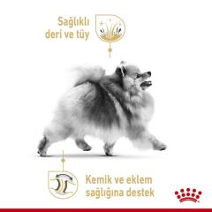 ROYAL CANİN POMERİAN ADULT 1,5 KG