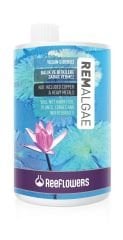 REMALGAE 1000 ML (YOSUN GİDERİCİ)