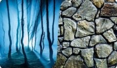 PLASTİK POSTER KAYA-BİTKİ 30 CM 15 MT