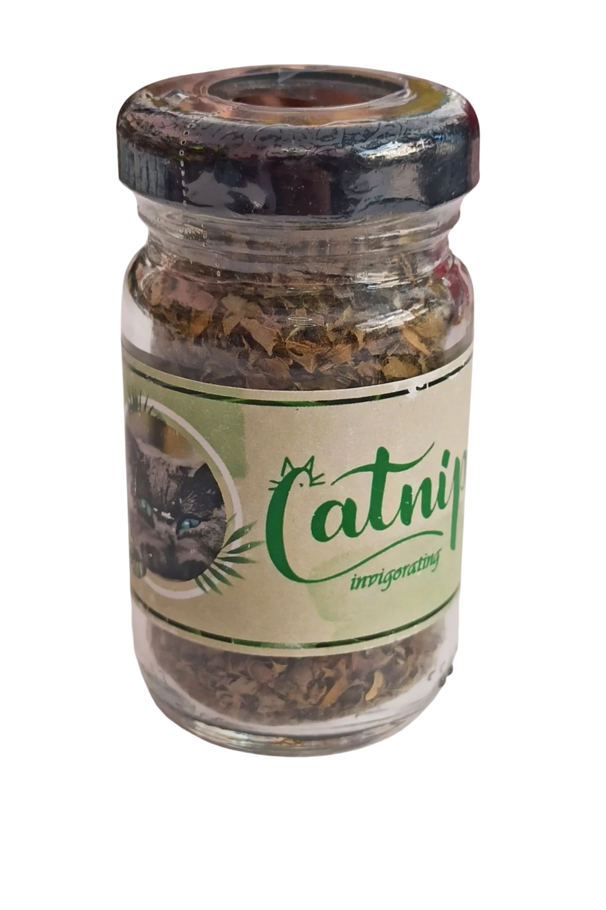CATNİP KAVANOZ 0795