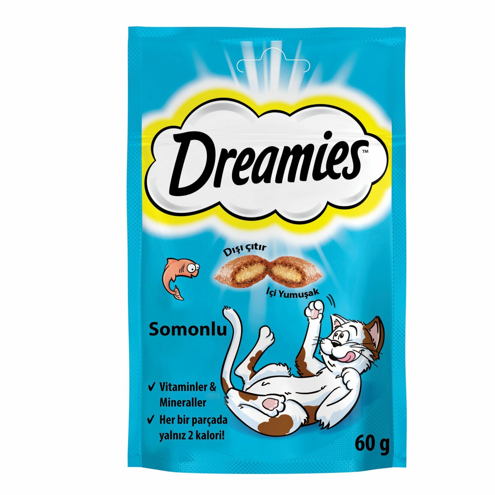 DREAMİES SOMONLU KEDİ ÖDÜLÜ 60 GR 6'LI