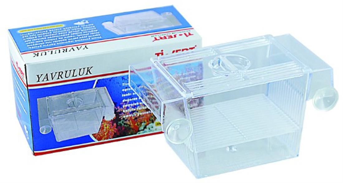 FİSHWORLD TEKLİ YAVRULUK