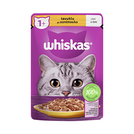 WHİSKAS POUCH GÜVEÇ TAVUKLU 85 GR 28'Lİ