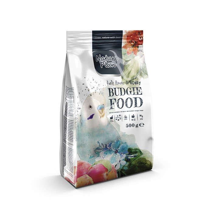 NATURE PLAN MEYVE AROMALI BALLI MUH. YEMİ 500 GR 18'Lİ