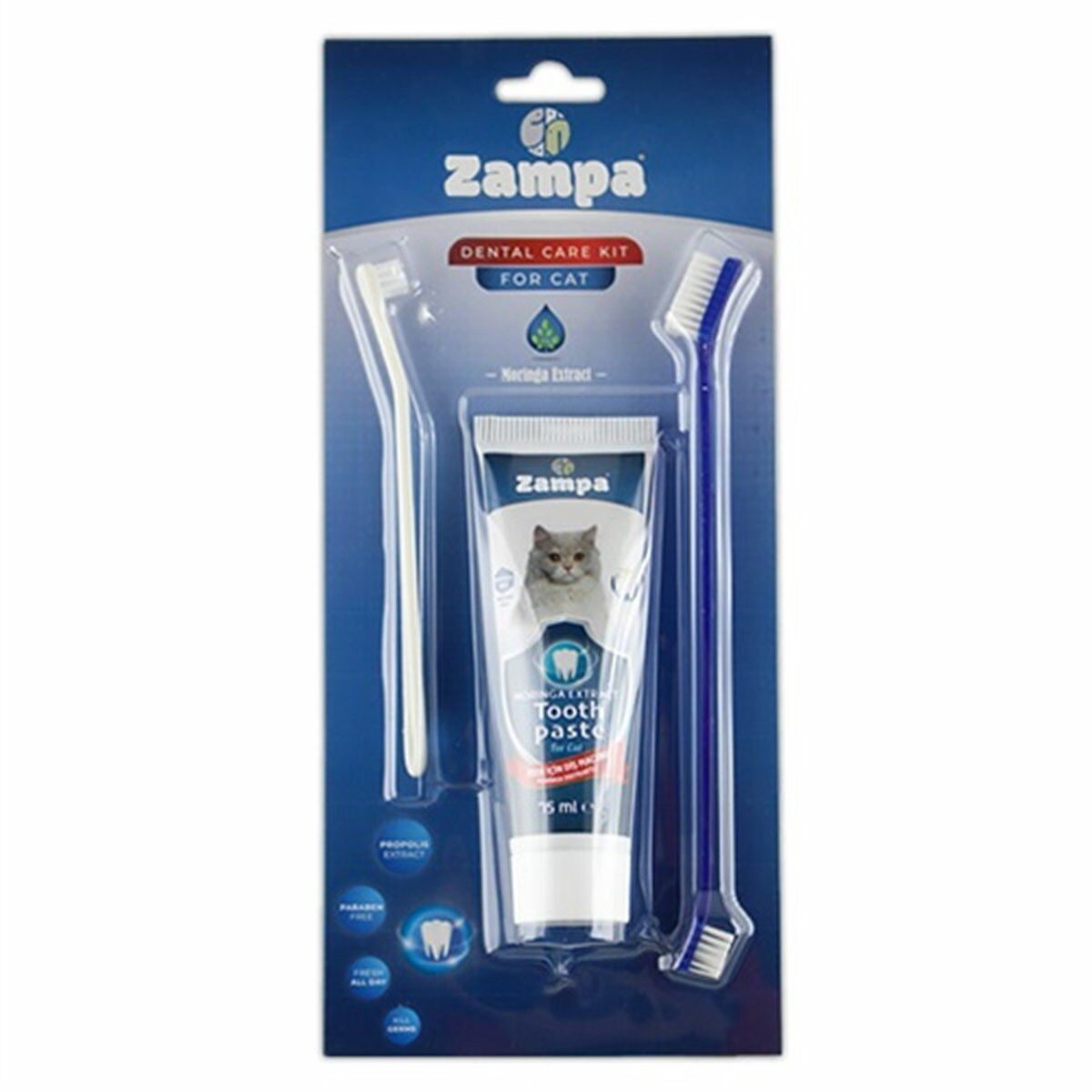 ZAMPA KEDİLER İÇİN DİŞ FIRÇALAMA