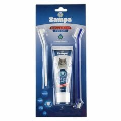 ZAMPA KEDİLER İÇİN DİŞ FIRÇALAMA