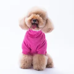 Fuşya Pooh's Ashdown Piglet Triko Sweat M-L-L-XL-2XL (5'Lİ SET)