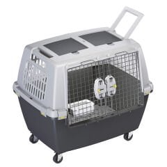 Gulliver Touring Iata 80 Cm 80X58,5X62 (4)