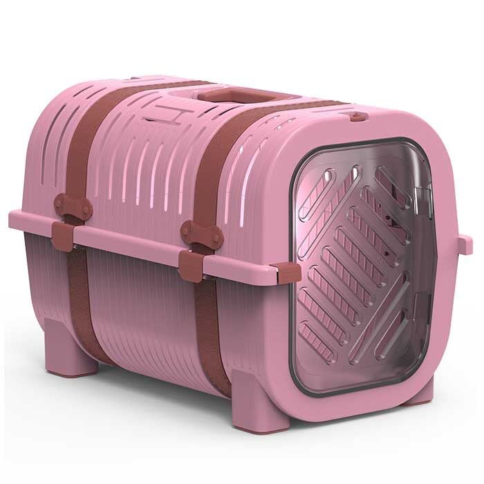 Rainbow Gül Pembesi-Pembe Kemer